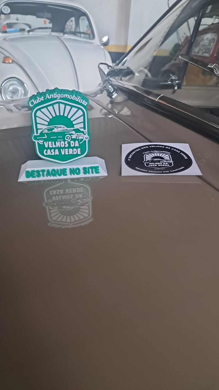 O ENCONTRO DOS VELHOS DA CASA VERDE